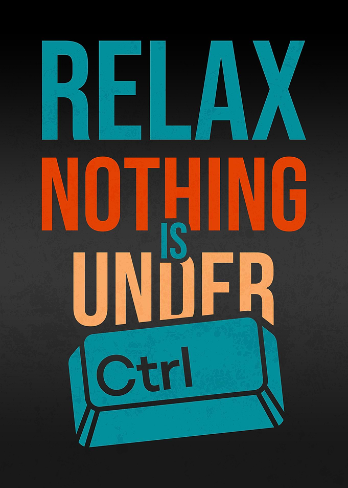 Relax Nothing Is Under Ctrl Funny Programmer QuotePoster
