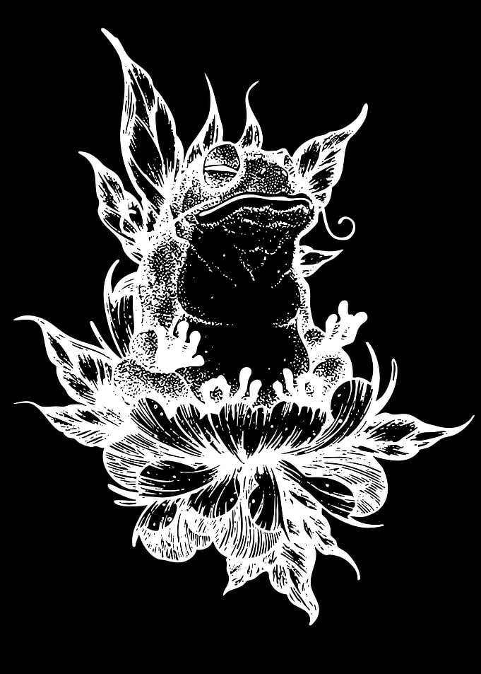 Zen Frog Meditating on Lotus Flower