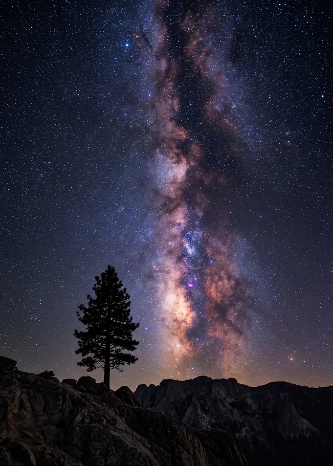 pine tree silhouetted against a vibrant night stars, colorful band of the sky Milky Way