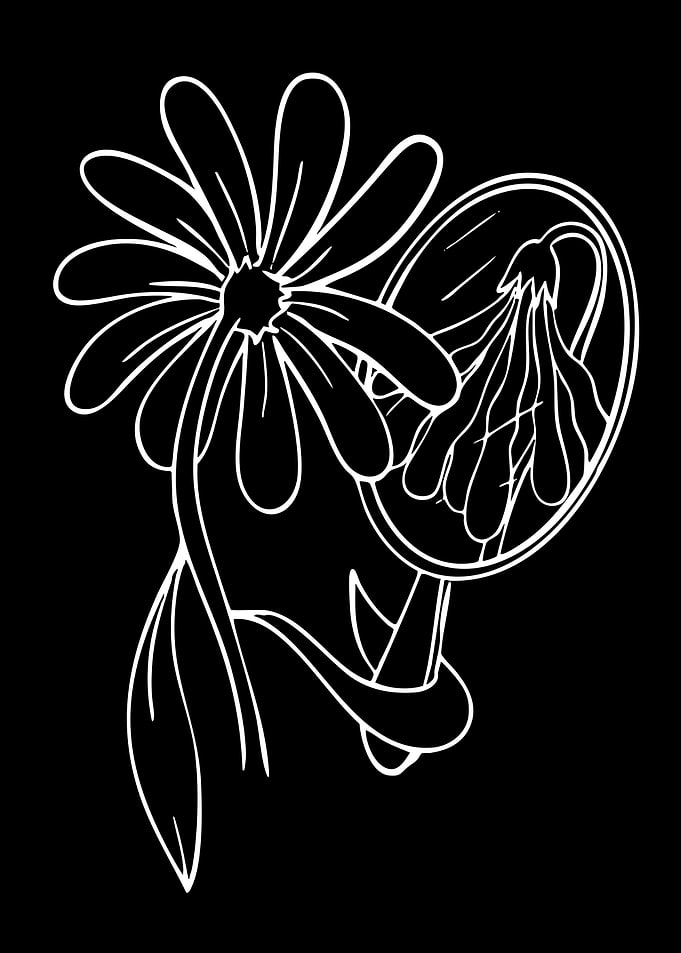 Flower and Mirror Line Art