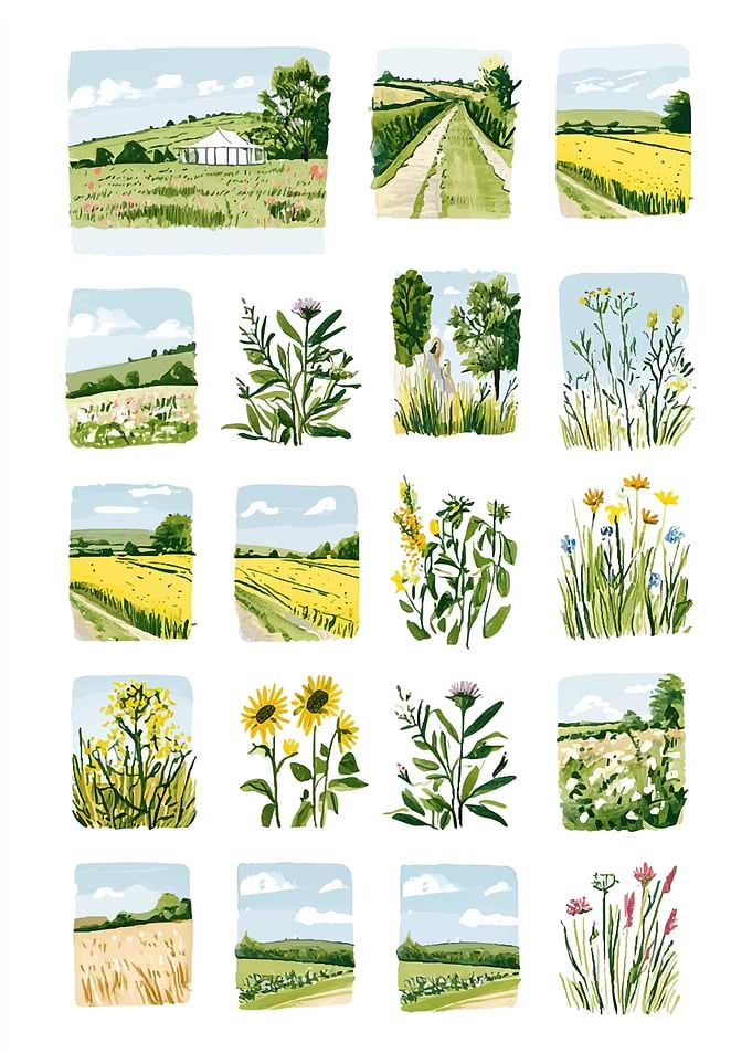 Countryside Landscape and Wildflower Study Grid