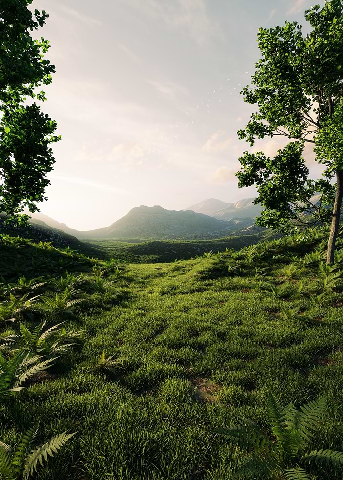 Lush Green Valley at Sunset