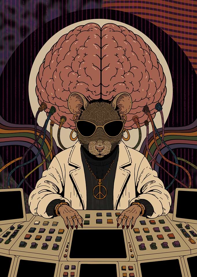 My Brain Rat at the Buttons