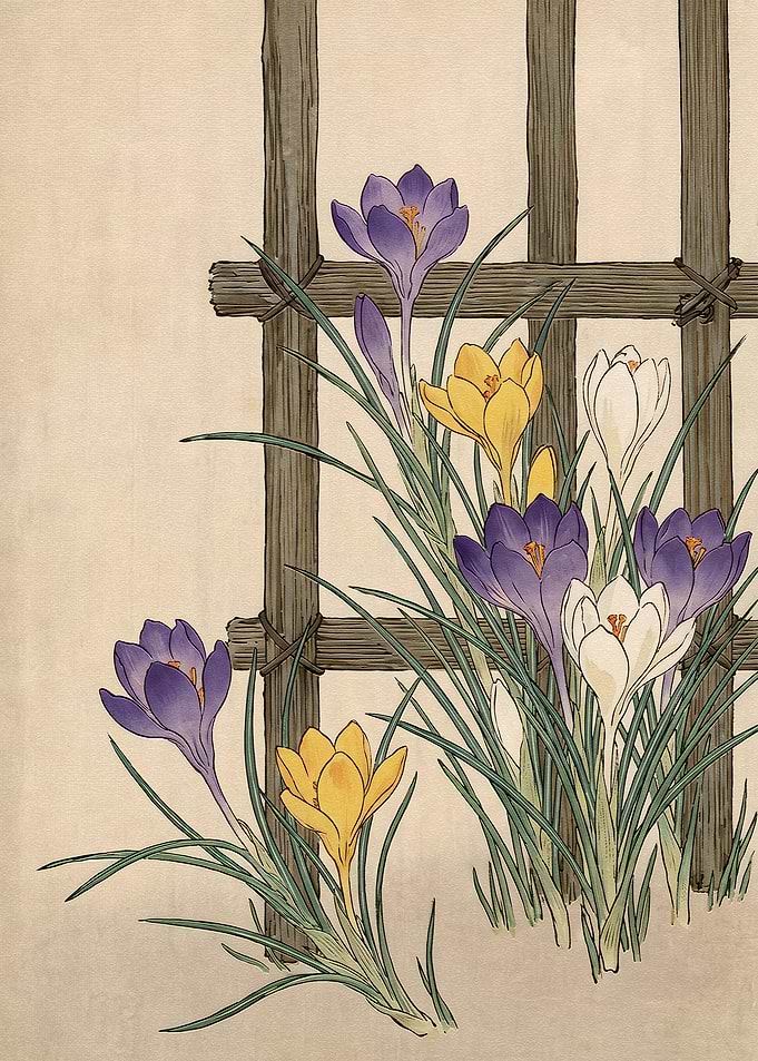 Japanese Woodblock Style Crocus Flowers
