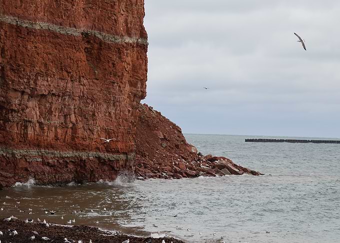 Red Sandstone Cliffs and Seagulls