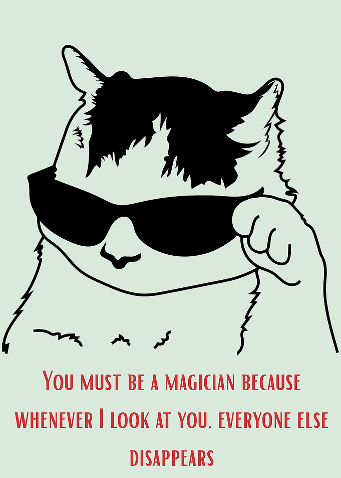 Cool Cat Flirty Pickup Line Poster
