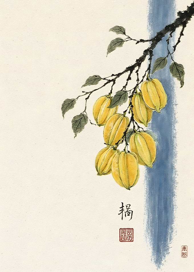 Traditional Ink Wash Painting of Starfruit