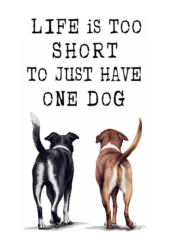 Life Is Too Short To Just Have One Dog