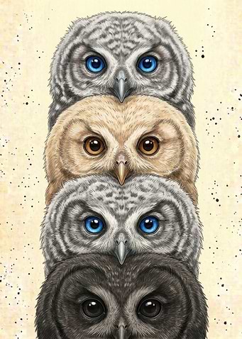 Four Stacked Owls Illustration