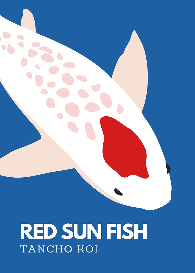 Minimalist Tancho Koi Fish Poster