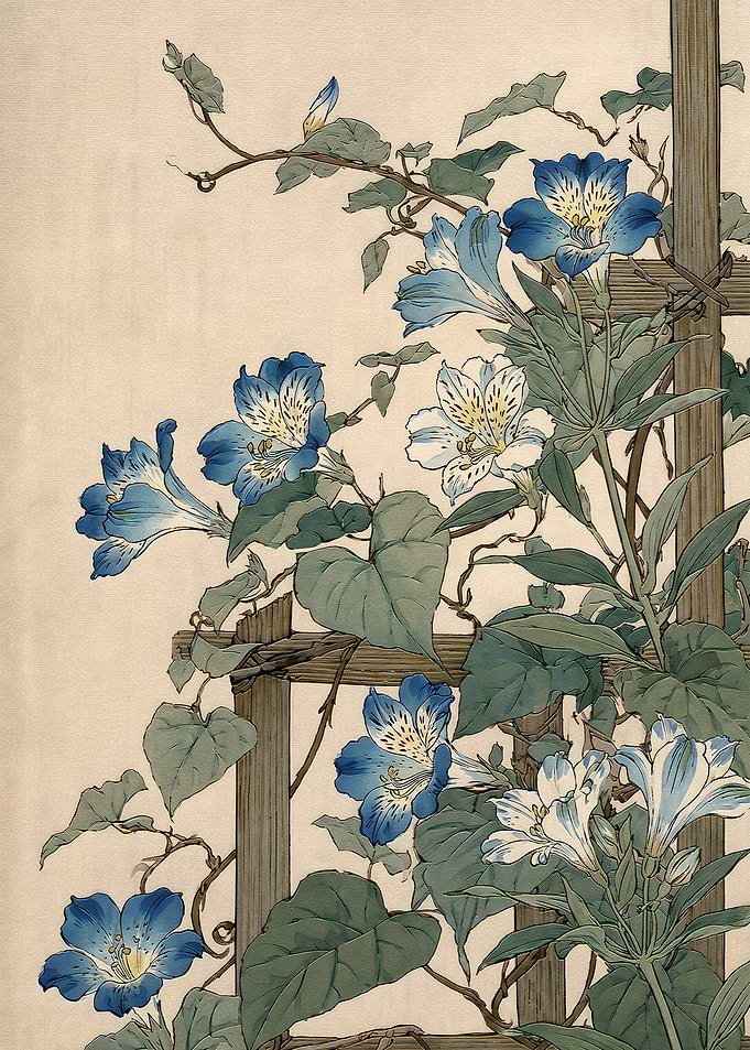Vintage Botanical Illustration of Blue Flowers