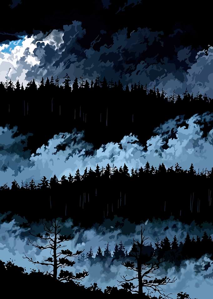 Dark Misty Forest Landscape