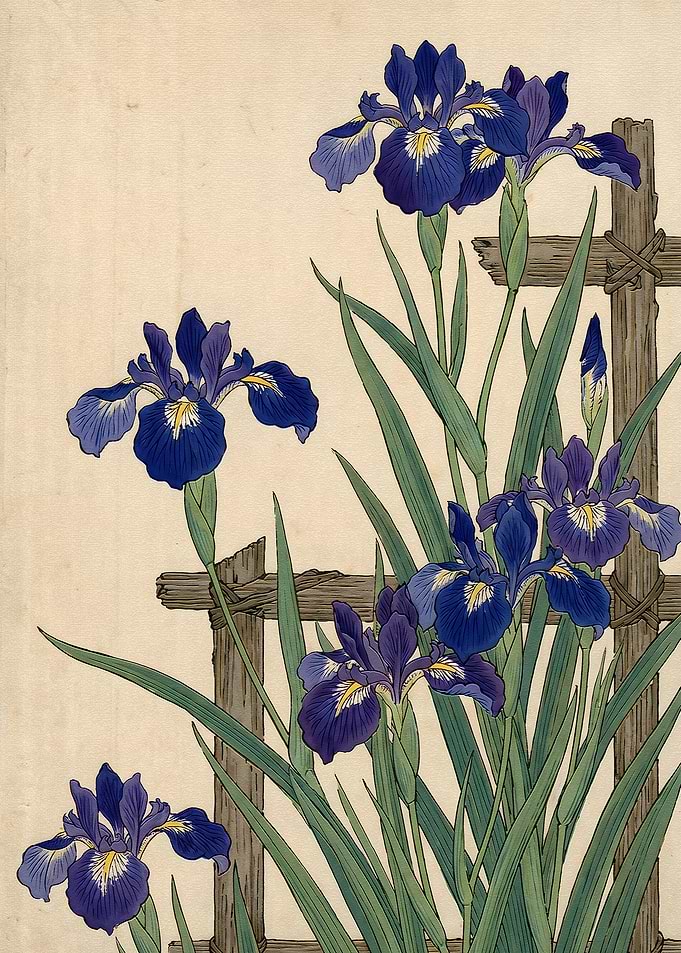 Japanese Woodblock Print of Blue Irises