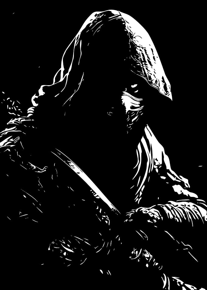 Black and White Hooded Assassin