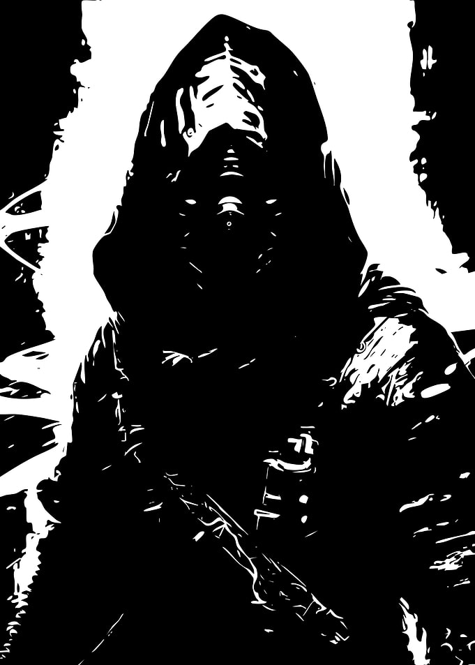 Black and White Hooded Assassin