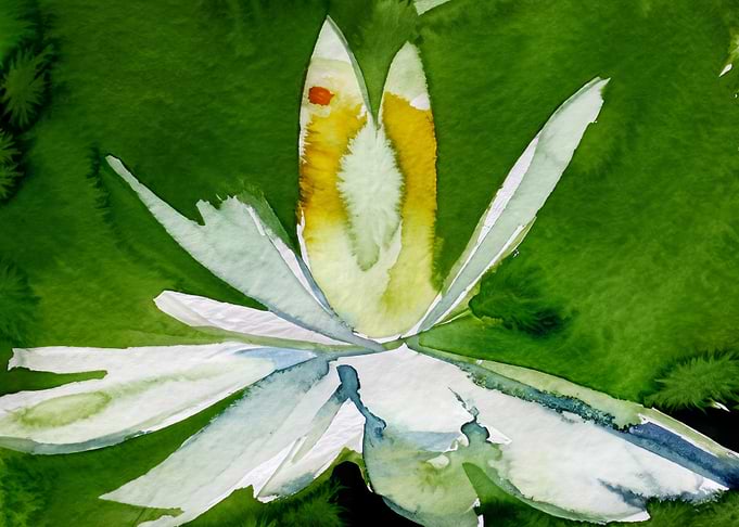 Water Lily Flower Flow Watercolor with Large Brushstrokes
