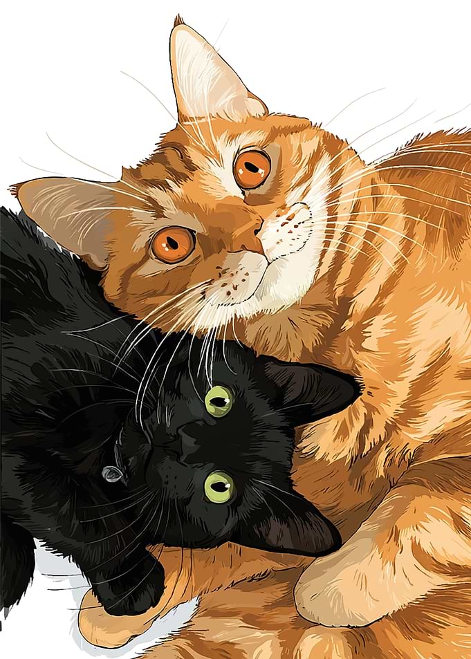 Orange and Black Cats Cuddling