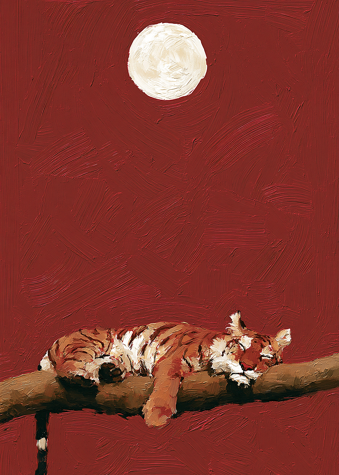 Tiger Sleeping on Branch Under Moon