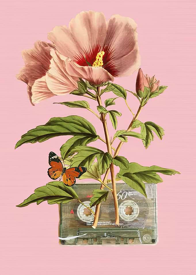 Vintage Cassette Tape with Hibiscus Flower