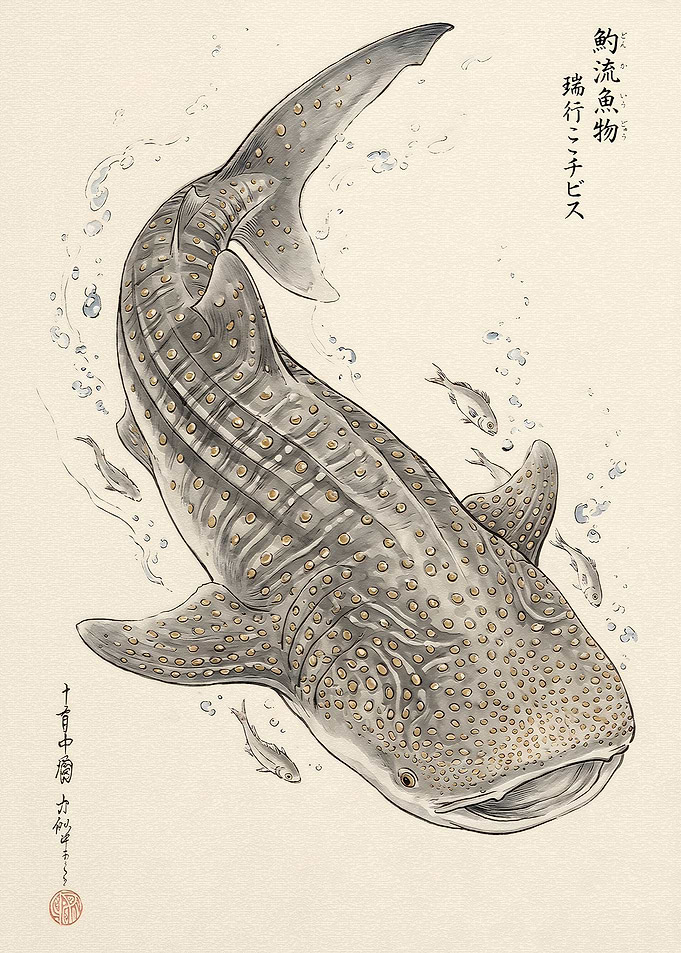 Traditional Japanese Style Whale Shark Illustration