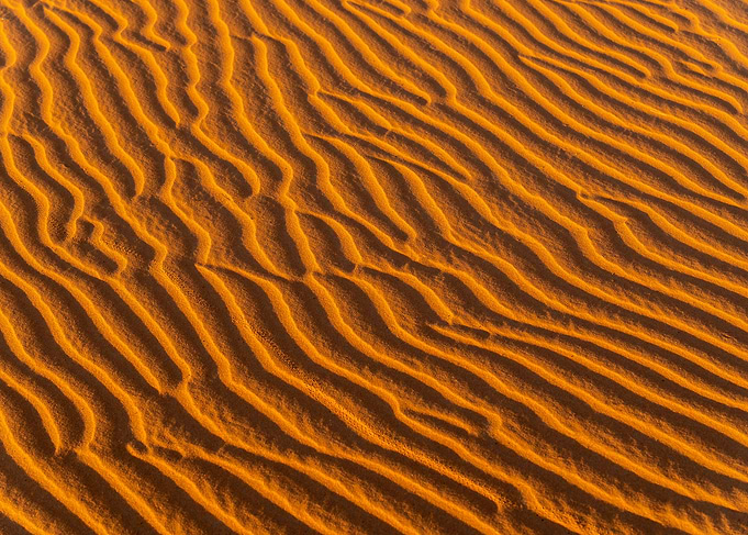 Golden Sand Dune Ripples