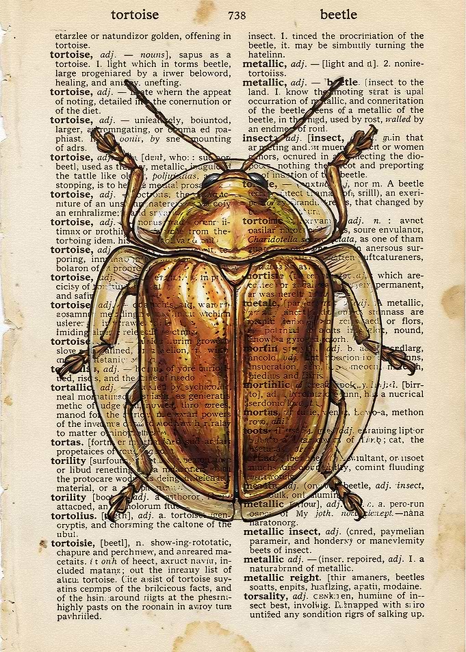 Golden Beetle on Vintage Dictionary Page