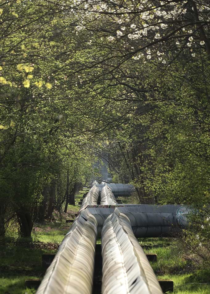 Industrial Pipelines Through Lush Forest