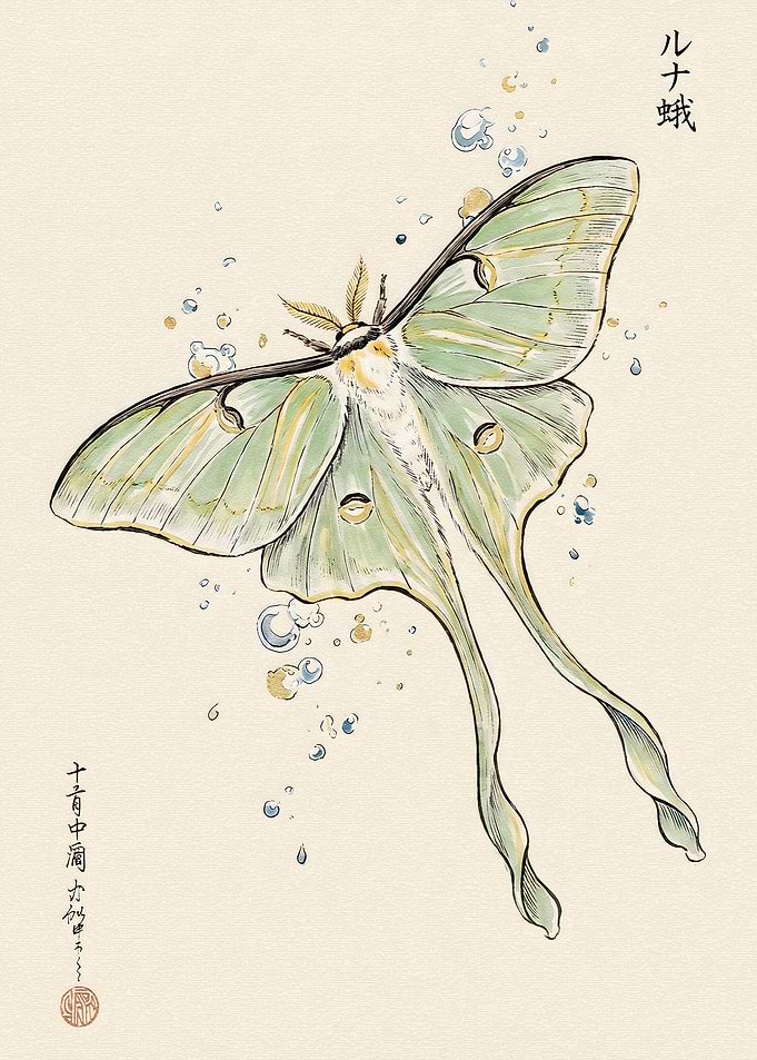 Japanese Style Luna Moth Illustration