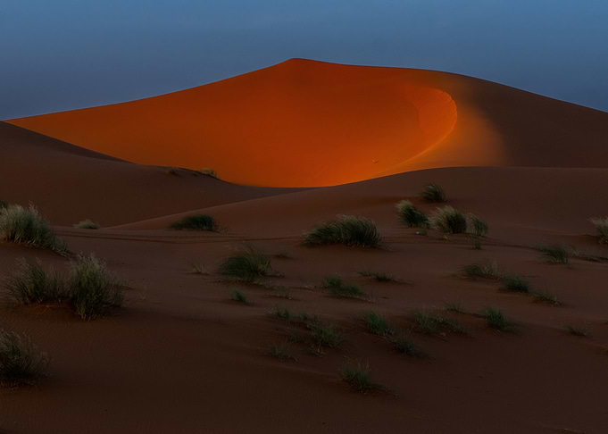 Golden Desert Dune at Twilight