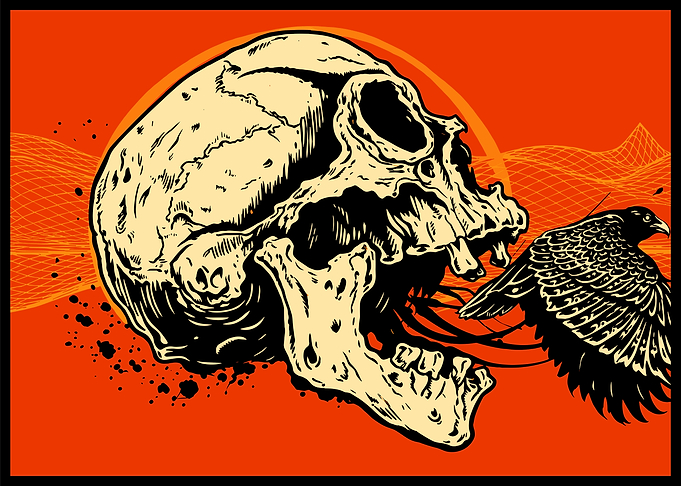 Skull and Raven Graphic Illustration