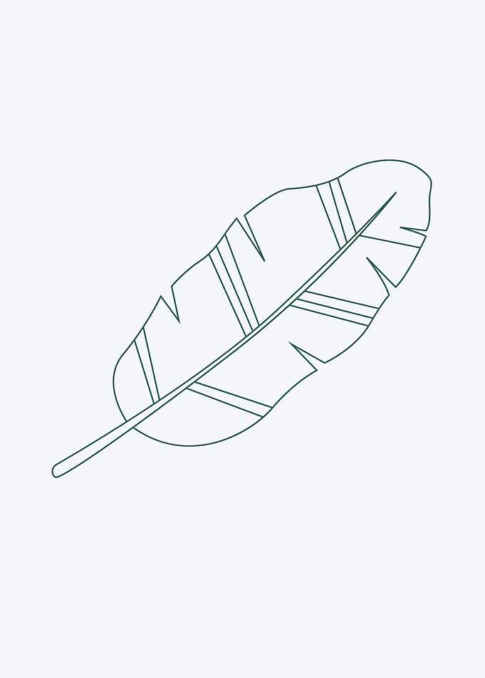 Minimalist Botanical Banana Leaf Line Art