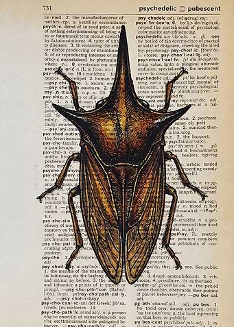 Treehopper Insect on Dictionary Page