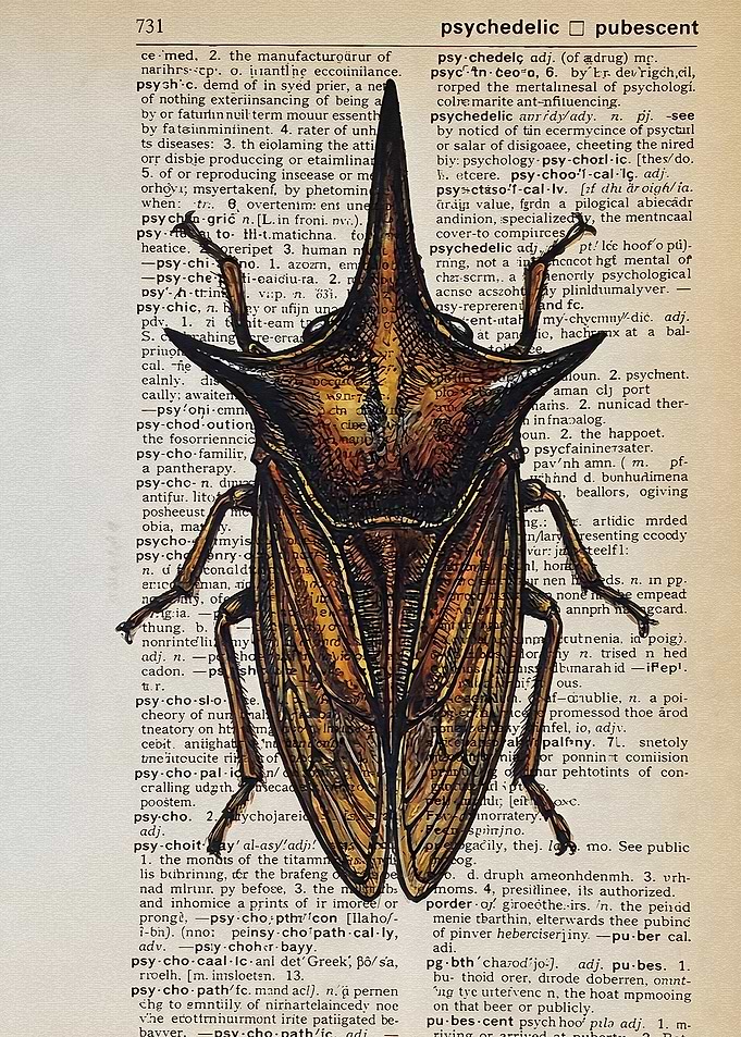 Treehopper Insect on Dictionary Page