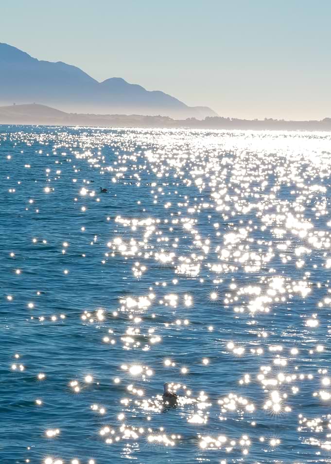 Sunlight Sparkling on Ocean Waves in Kaikoura