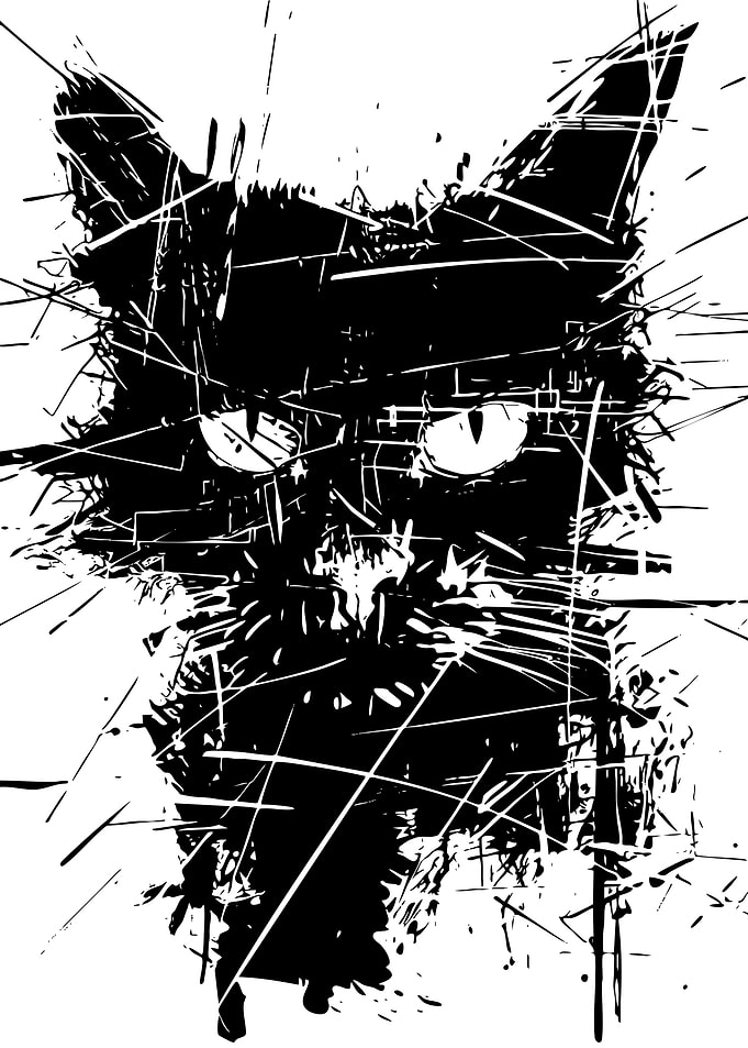 Abstract Black and White Cat Portrait