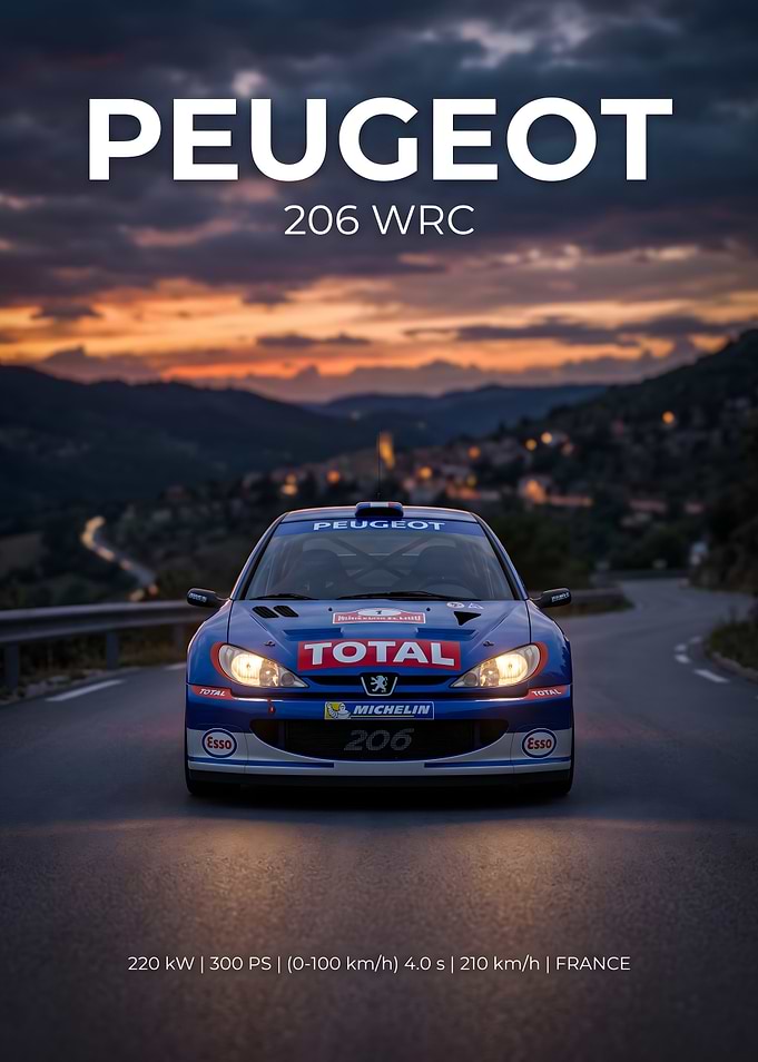 Peugeot 206 WRC Rally Car Poster