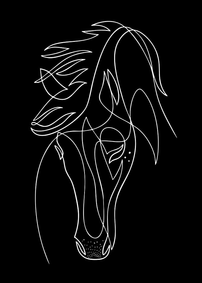 Minimalist Continuous Line Horse Portrait