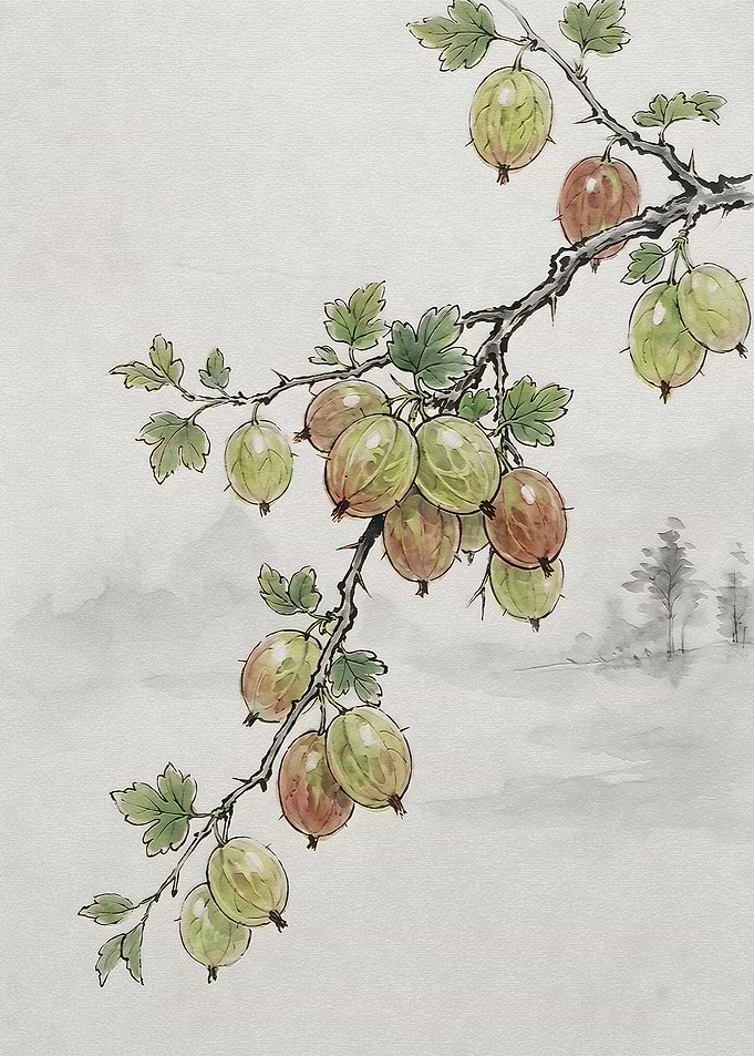 Watercolor Gooseberry Branch Illustration