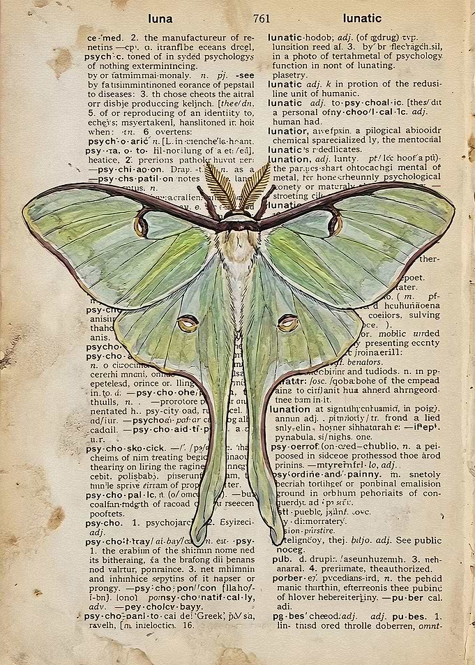 Luna Moth on Vintage Dictionary Page