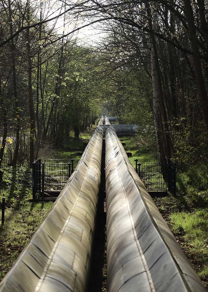 Industrial Pipelines Through Forest Path
