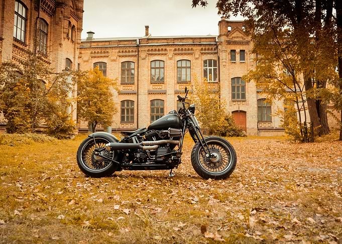 Custom Black Harley-Davidson on Autumn day