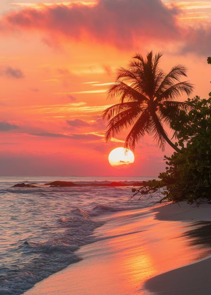 Tropical Beach Sunset with Palm Tree