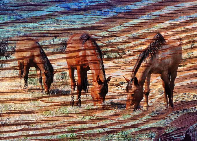 Horses Grazing on Wooden Texture