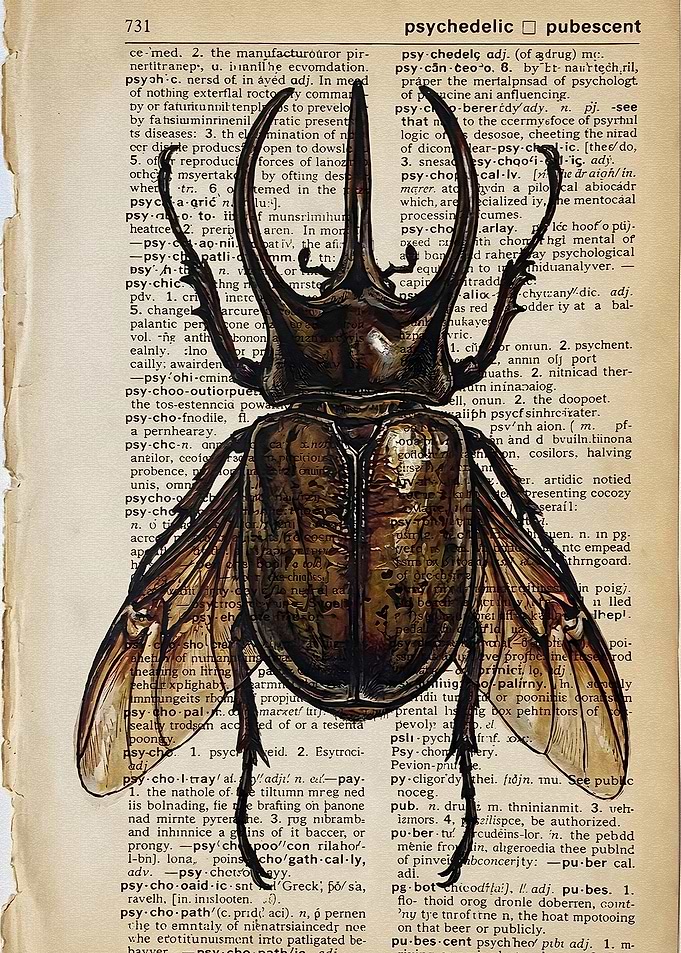 Beetle Illustration on Vintage Dictionary Page