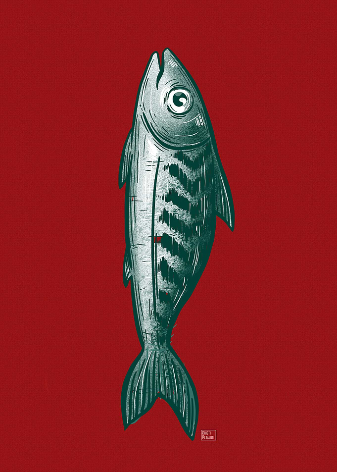 Stylized Mackerel Fish Illustration
