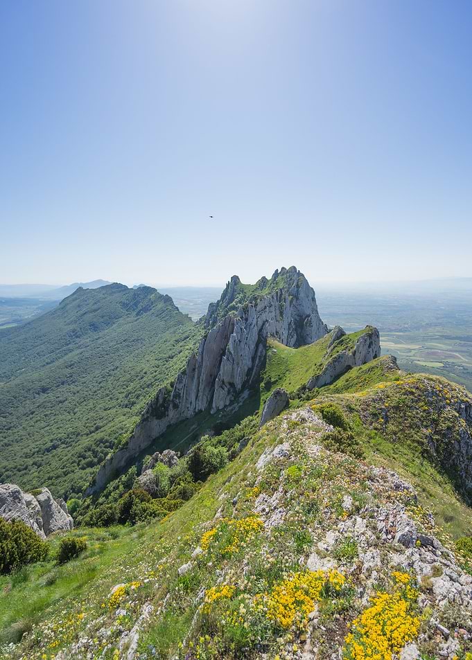 Rugged Mountain Ridge with Yellow Flowers