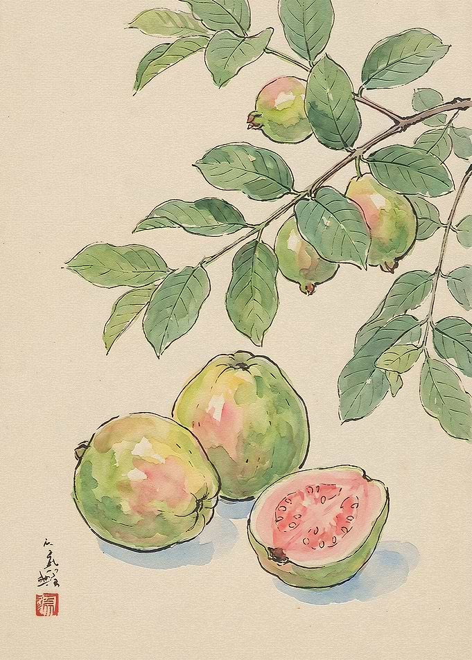 Watercolor Painting of Guava Fruit