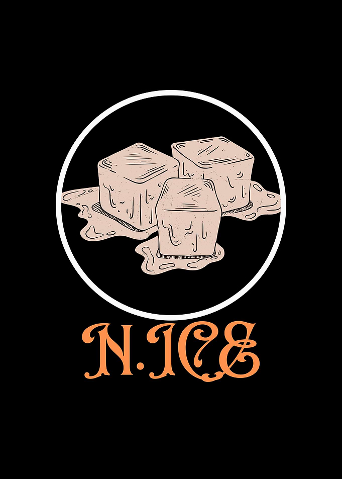 N.ICE