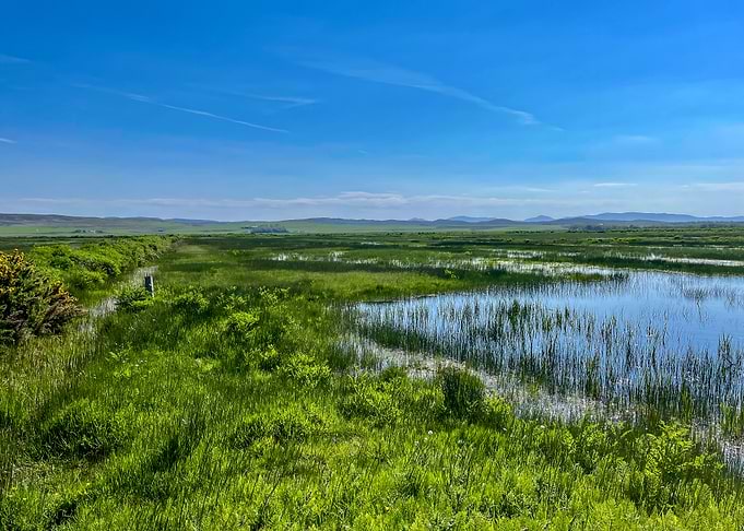 Scottish Loch Under Clear Blue Sky — Islay Scotland Photography