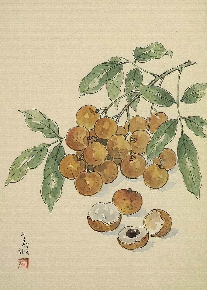 Traditional Ink Painting of Longan Fruit